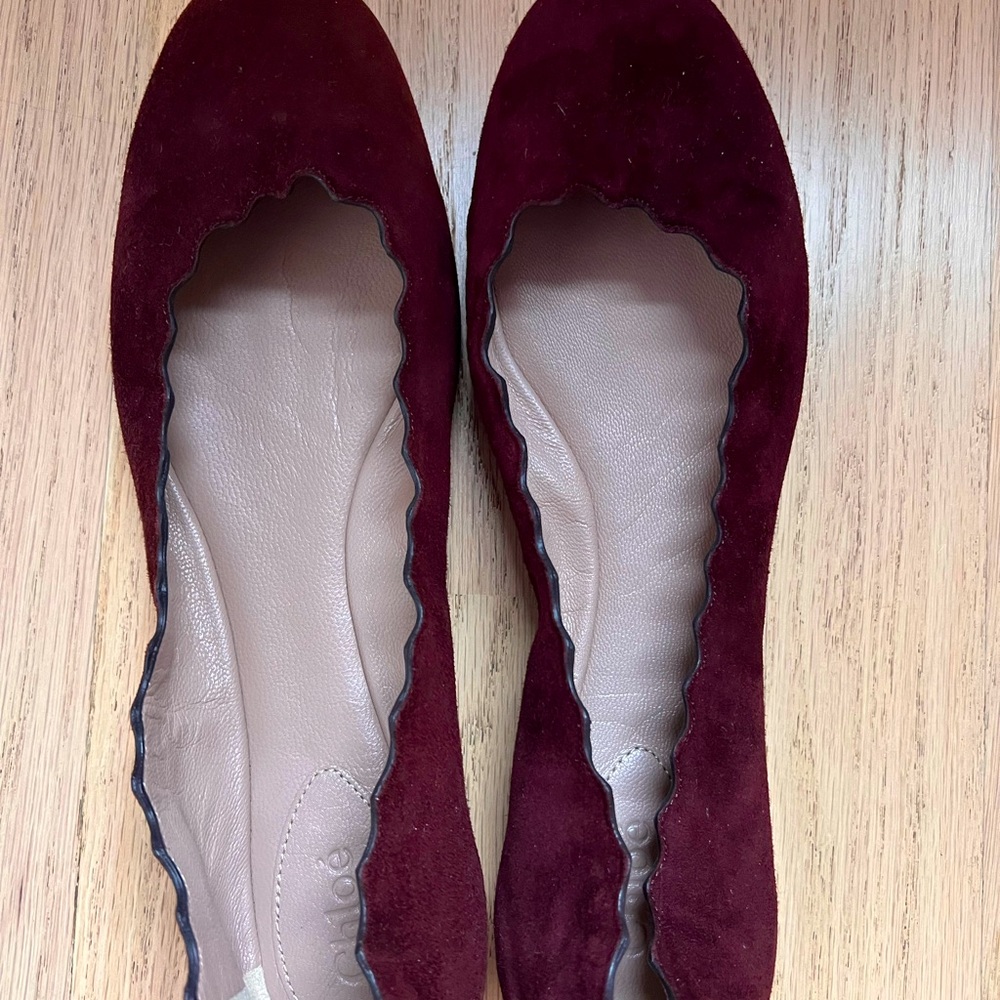 Never worn outside Chloe flats. Burgundy suede. Stunning.